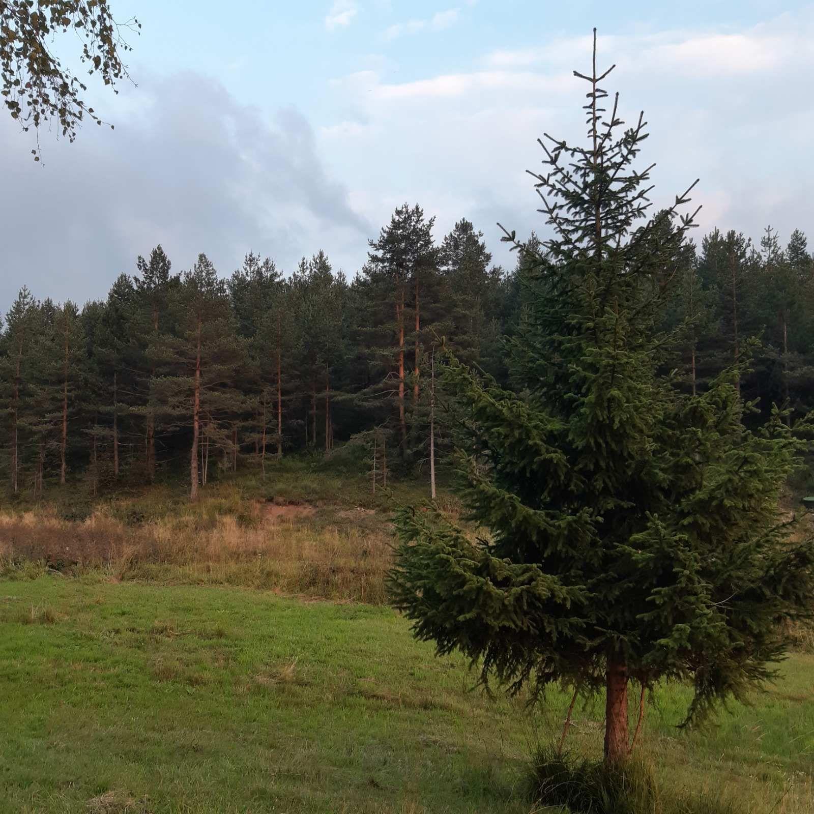 Квартира, 64583 м², 452 987$ — FAKTOR